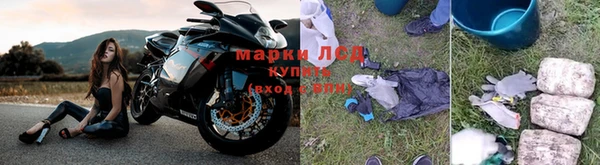 ГАЛЛЮЦИНОГЕННЫЕ ГРИБЫ Богородск