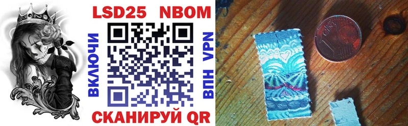 Купить закладки  Каргополь  Марки NBOMe 1,8мг 